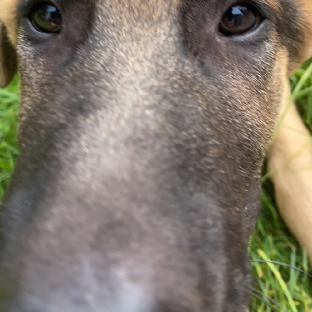 Meet your Posher, Cooper
